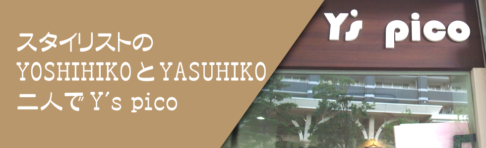 �������̃w�A�[�T����