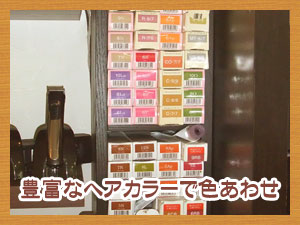 �L�x�ȃw�A�J���[�ŐF���킹